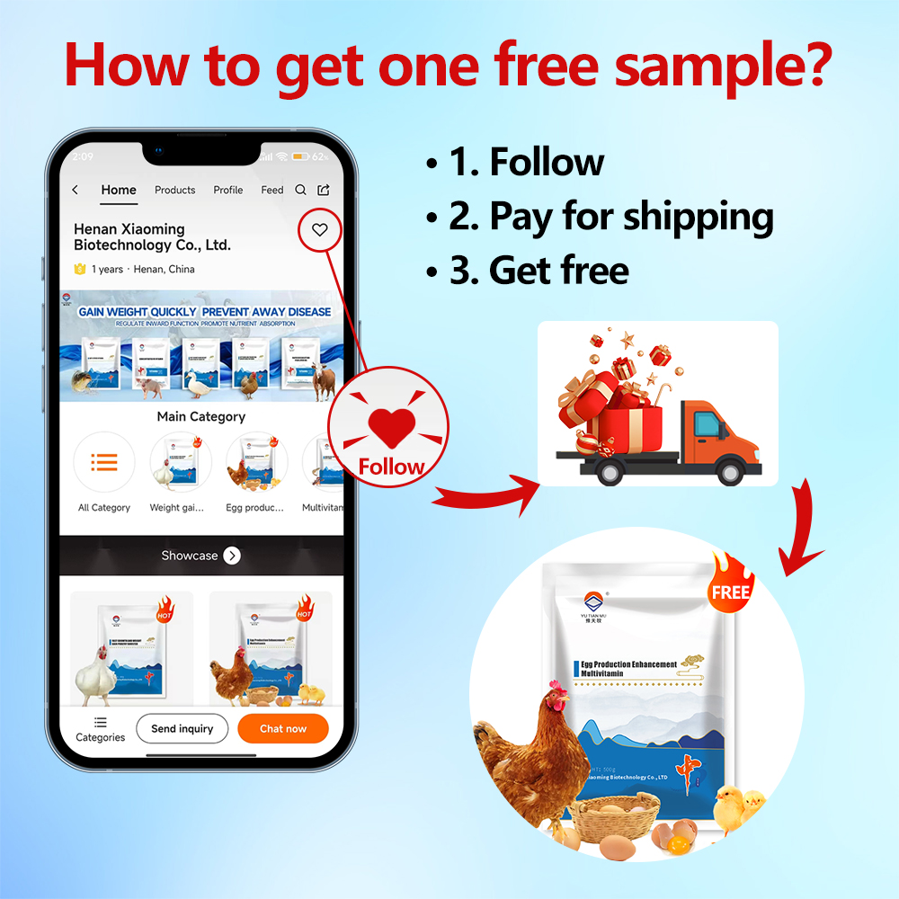 Feed Additive Image 4