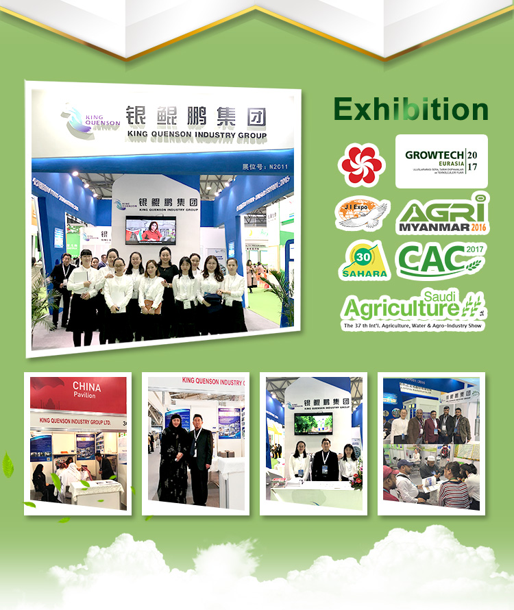 Exhibition image