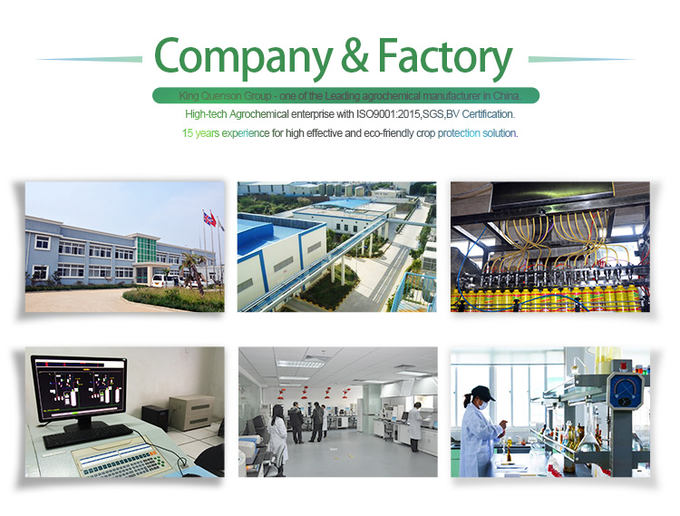 Company Profile image