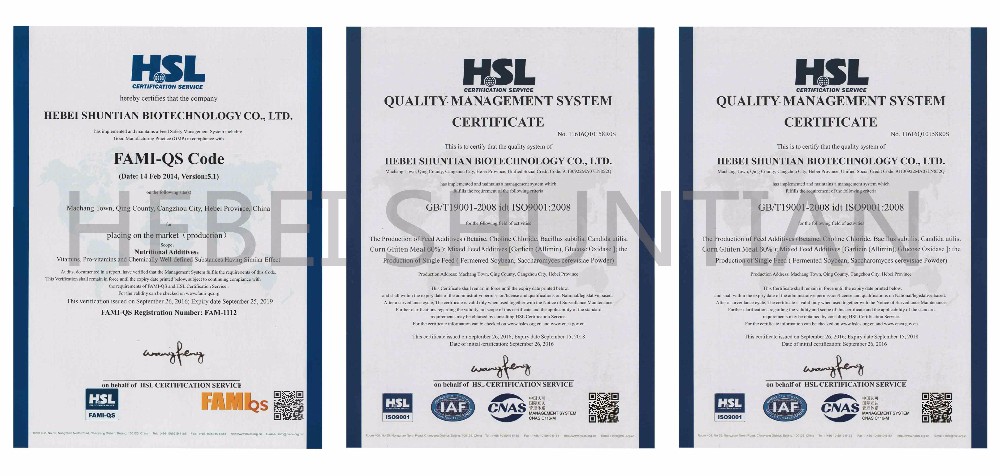 Certification 1