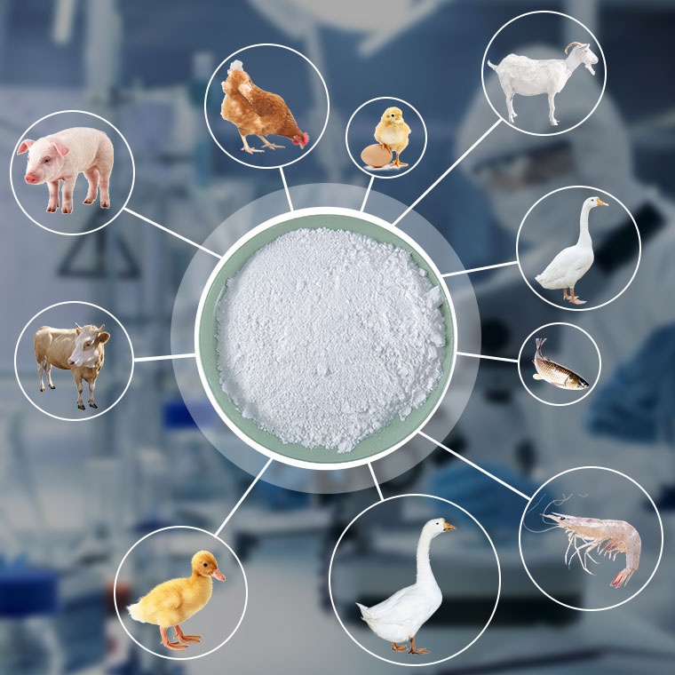 Feed Grade MDCP 21% Granule Monodicalcium Phosphate For Swine And Ruminant Animal