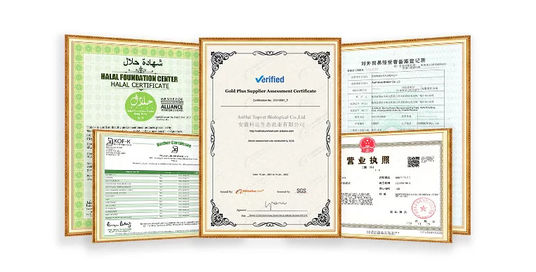 Certificate 1