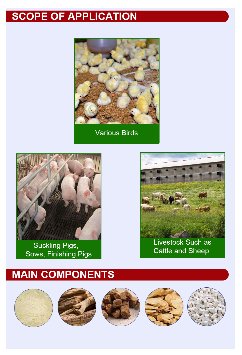 Product Description Banner