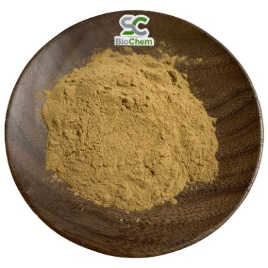 Plant Extract Natural Pure Sage Leaf Extract Sage Extract Powder Carnosic Acid Powder