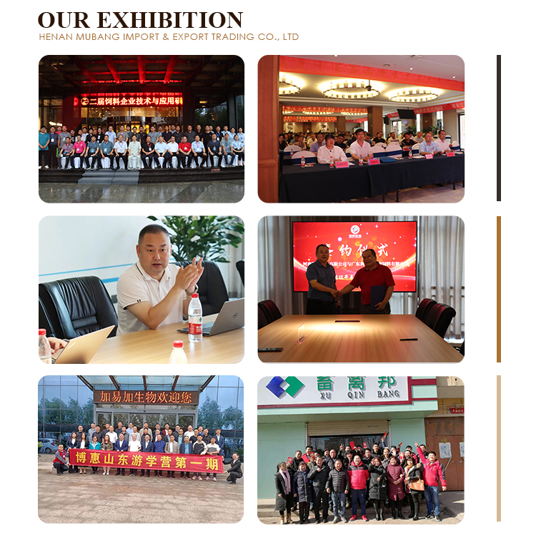 Trade Exhibition