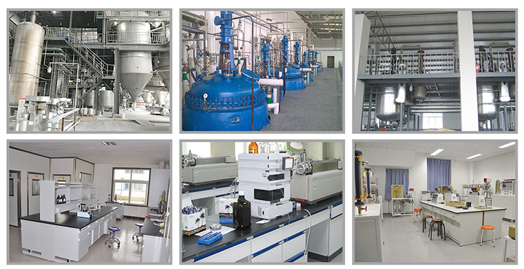Testing Laboratory