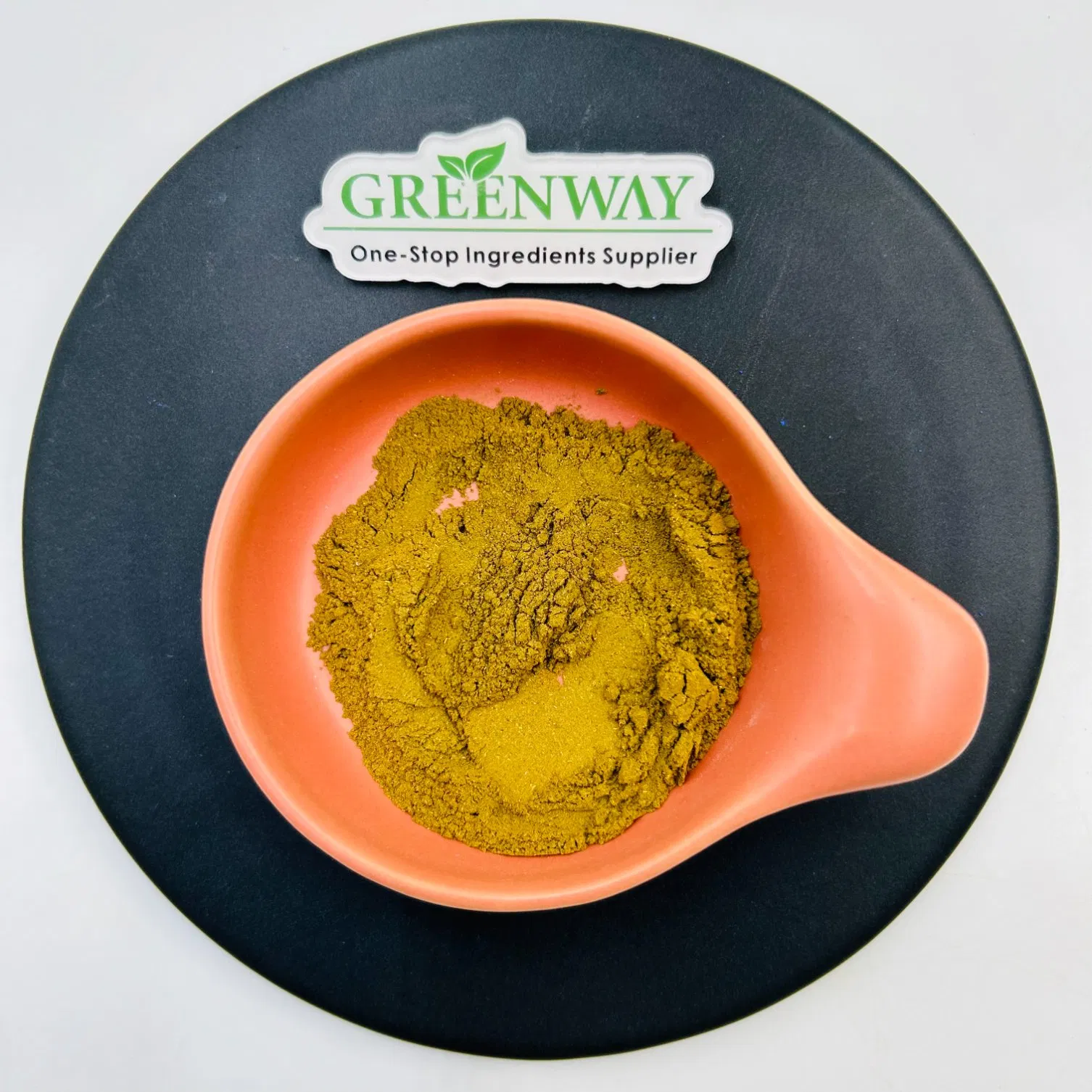 Manufacturer Supply 10%-50% Food Grade Natural Health Product Boost Immunity Plant Extract Boletus Edulis Extract