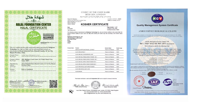 Certificate 2