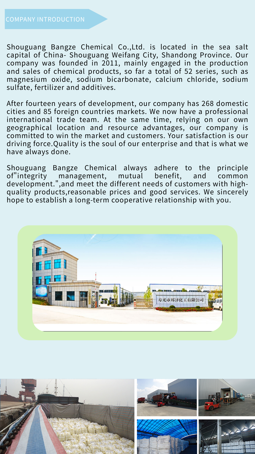 Company Profile