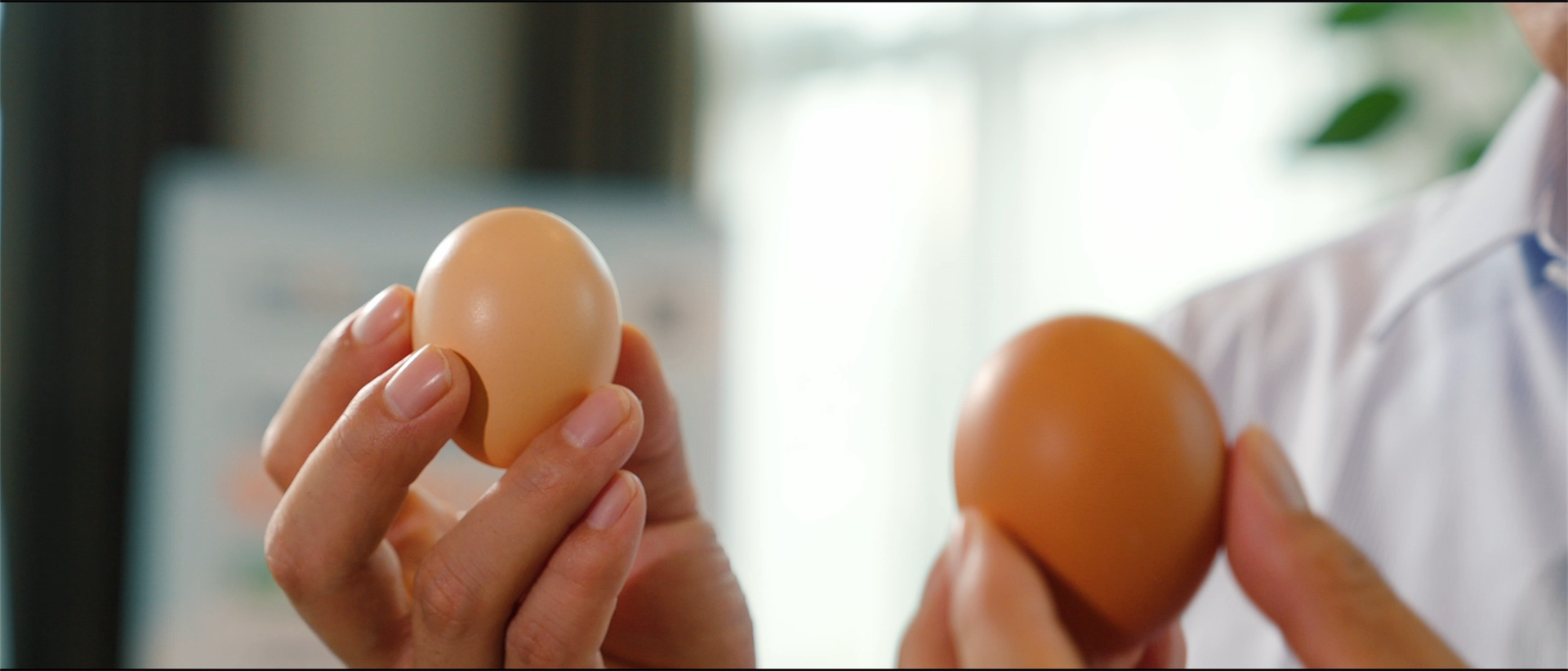 Eggshell Strength Data