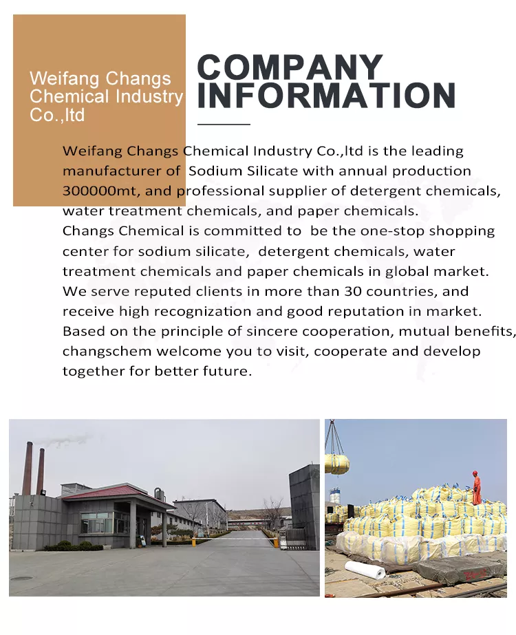 Company Overview