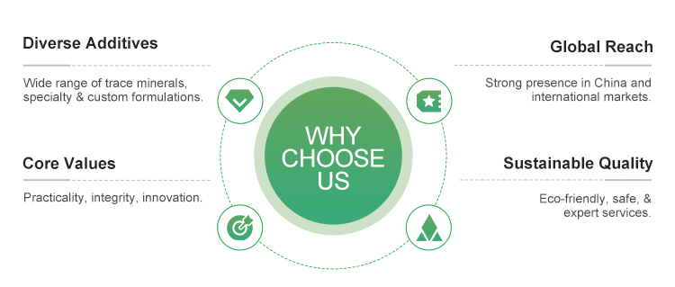 Why Choose Us