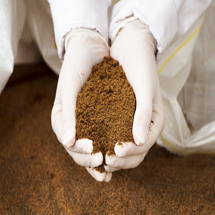 High Quality for Animal Feed Fish Meal 60% 65% - Fish Meal 60%, Fish Meal 65% | Made-in Thailand