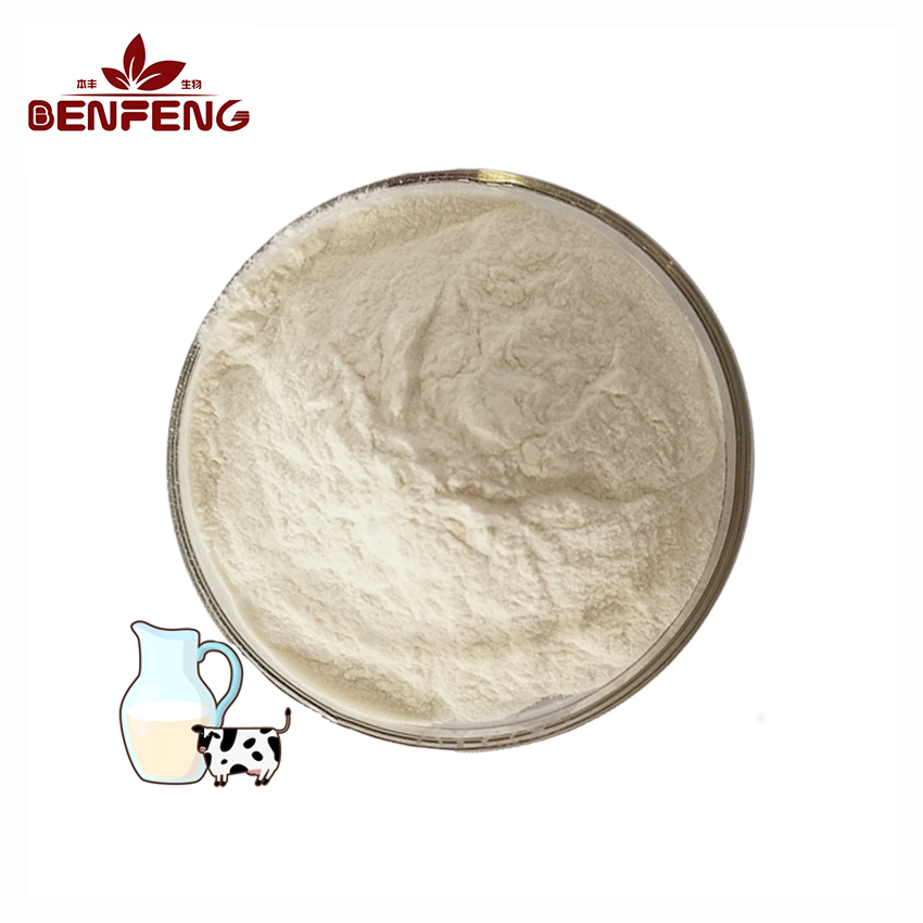Whey Protein Concentrate Powder WPC 80 Food Grade Sports Nutrition Supplement Bulk Supply