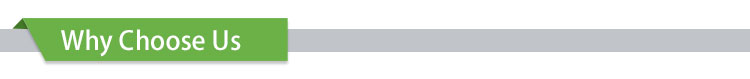 FAQ Section Title