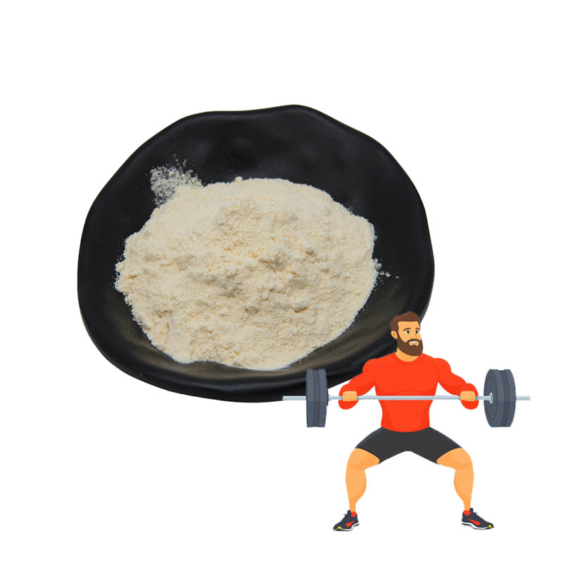 What is Protein Powder