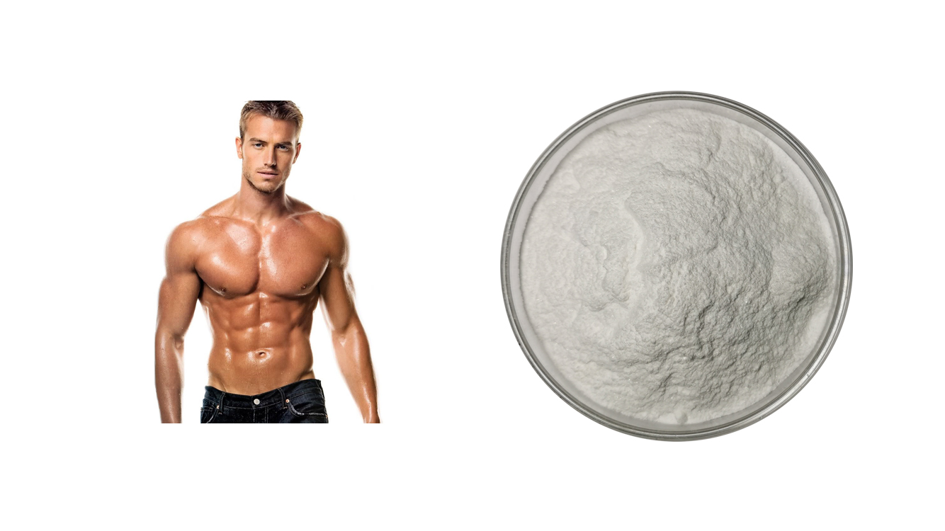 Food Additive Nutrition Enhancer L Arginine Powder Cas 74-79-3 L-Arginine Powder Amino Acid Raw Ingredient