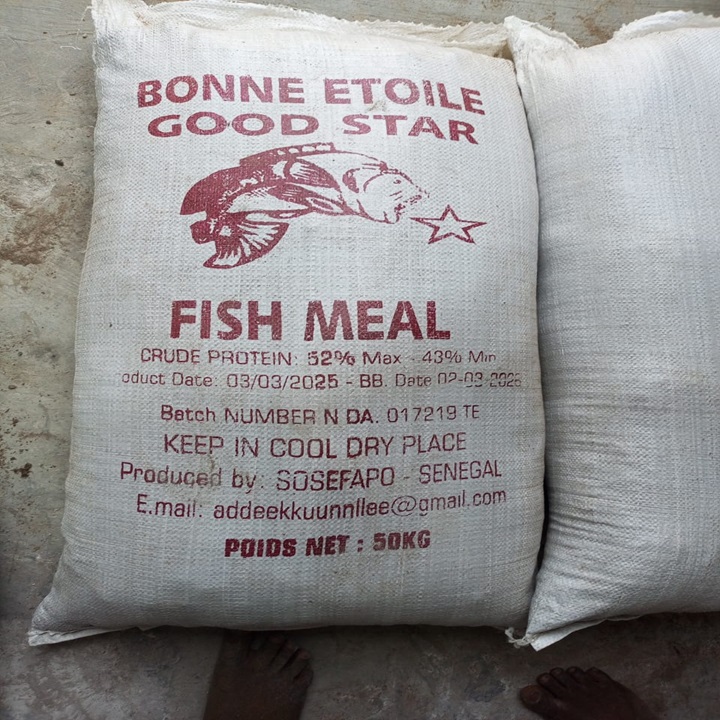 High Quality for Animal Feed Fish Meal 60% 65% - Fish Meal 60%, Fish Meal 65% | Made-in Thailand