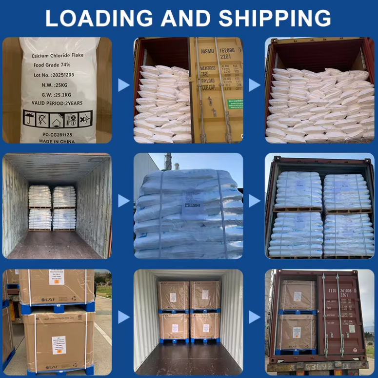Most Popular MgCl2 6H2O Powder Pharmaceutica/Medical Grade Magnesium Chloride