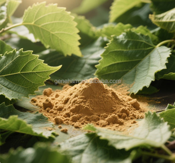 Mulberry Leaf Extract Powder Dnj Plant Extract Warehouse Stock Fast Shipping