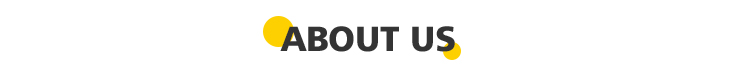 Company Information Header