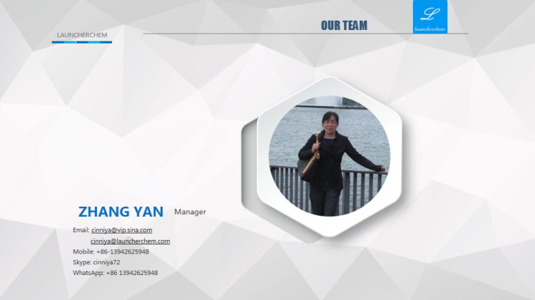 Our Team