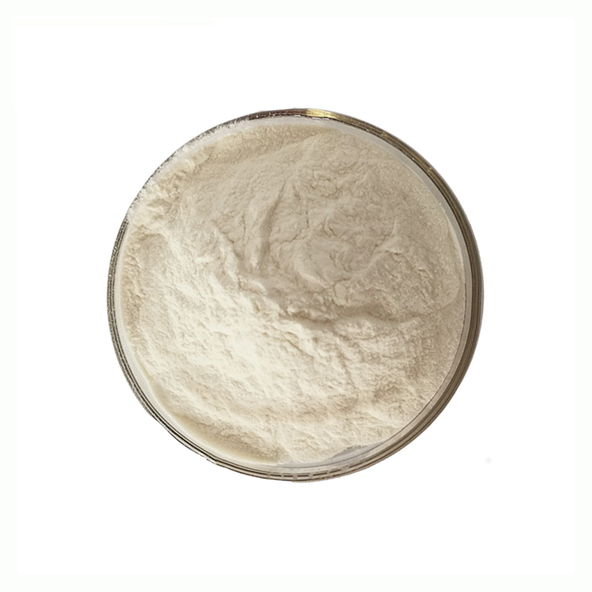 Whey Protein Detail 3