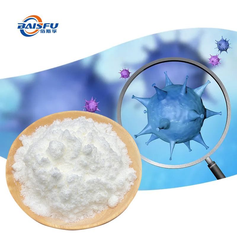 Oleanolic Acid Plant Extract High Content 99%CAS: 508-02-1