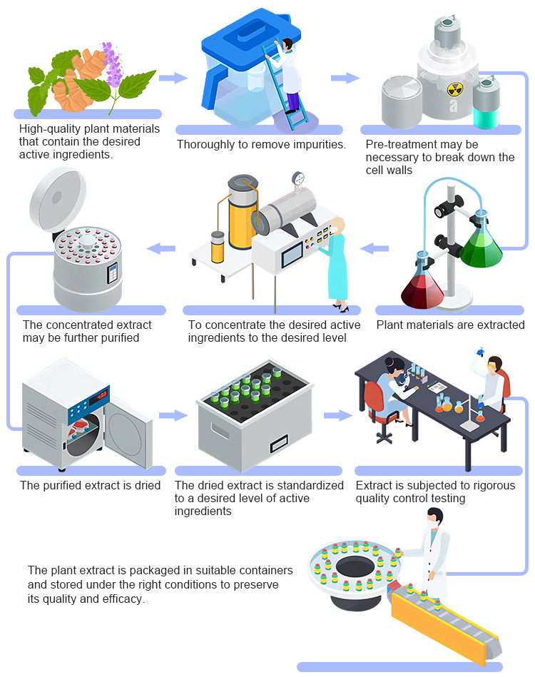 Manufacturing Process
