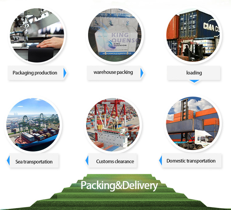 Packing and Delivery image