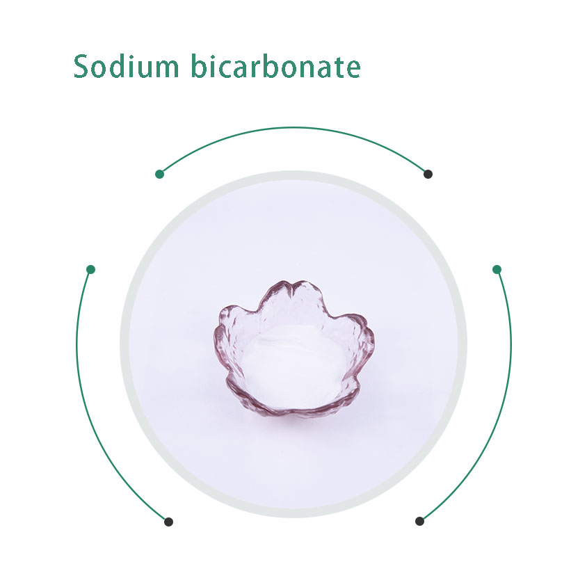 Baking Soda High Quality Sodium Bicarbonate 99% With Cheaper Price Leavening Agent Sodium Bicarbonate