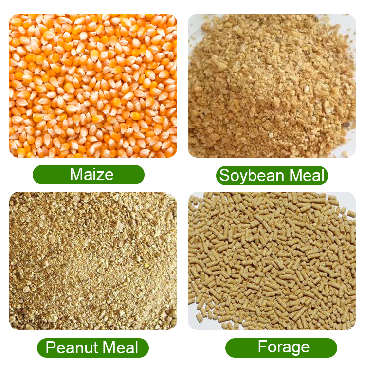 Product Specifications Visual