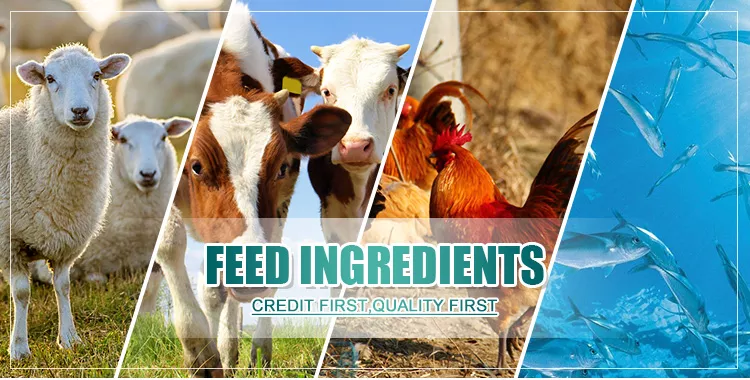 Monocalcium Phosphate Feed Additive Animal Feed Grade MCP 22% MDCP 22%