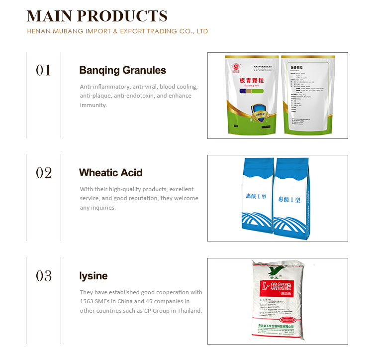 Main Products Showcase