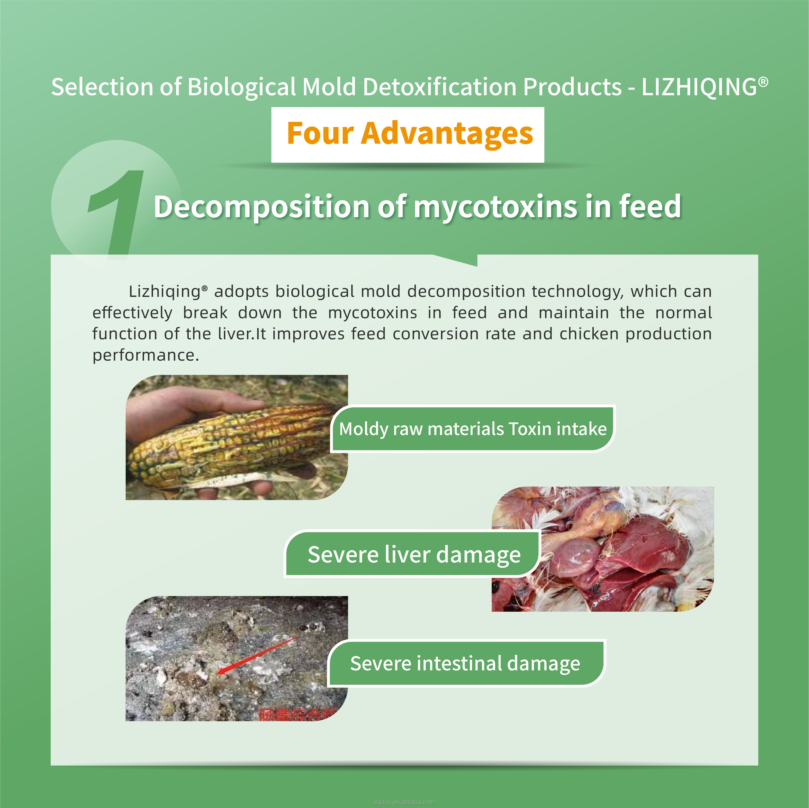 EGDOO Advanced Organic Binder 0.5% Poultry Feed Feed Grade Amino Acids for Laying Hens Breeder Chickens Mycotoxin-Free Diets