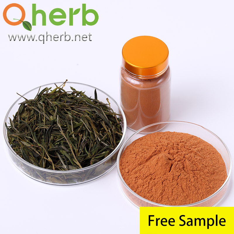Natural Food Grade Tea Polyphenols EGCG Green Tea Extract Herbal Plant