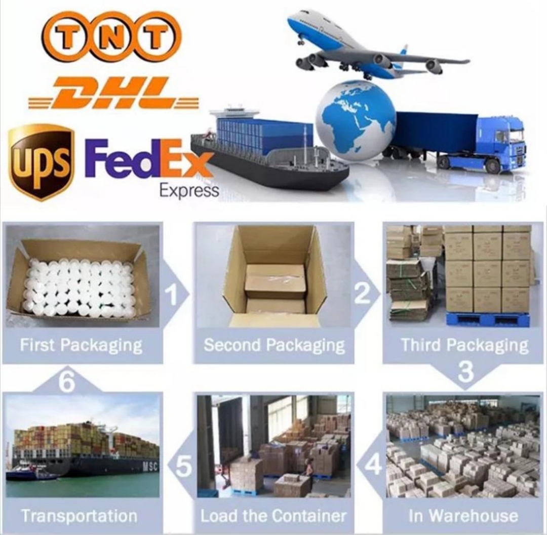 Shipping and Logistic Processing