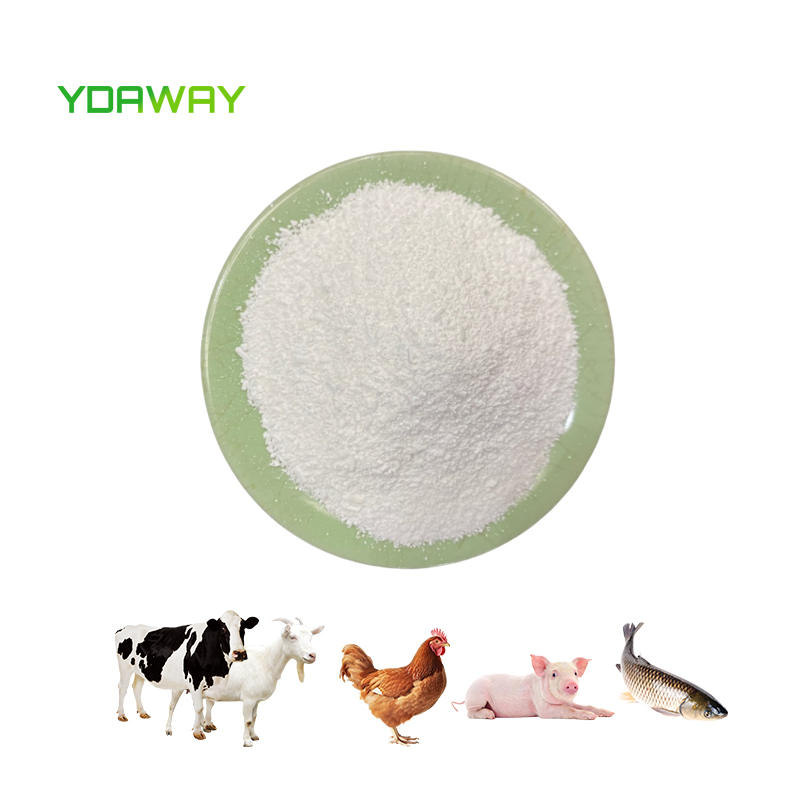 YDAWAY Factory Supply Feed Grade 99% L-arginine CAS 74-79-3 Bulk L-arginine Powder for Poultry