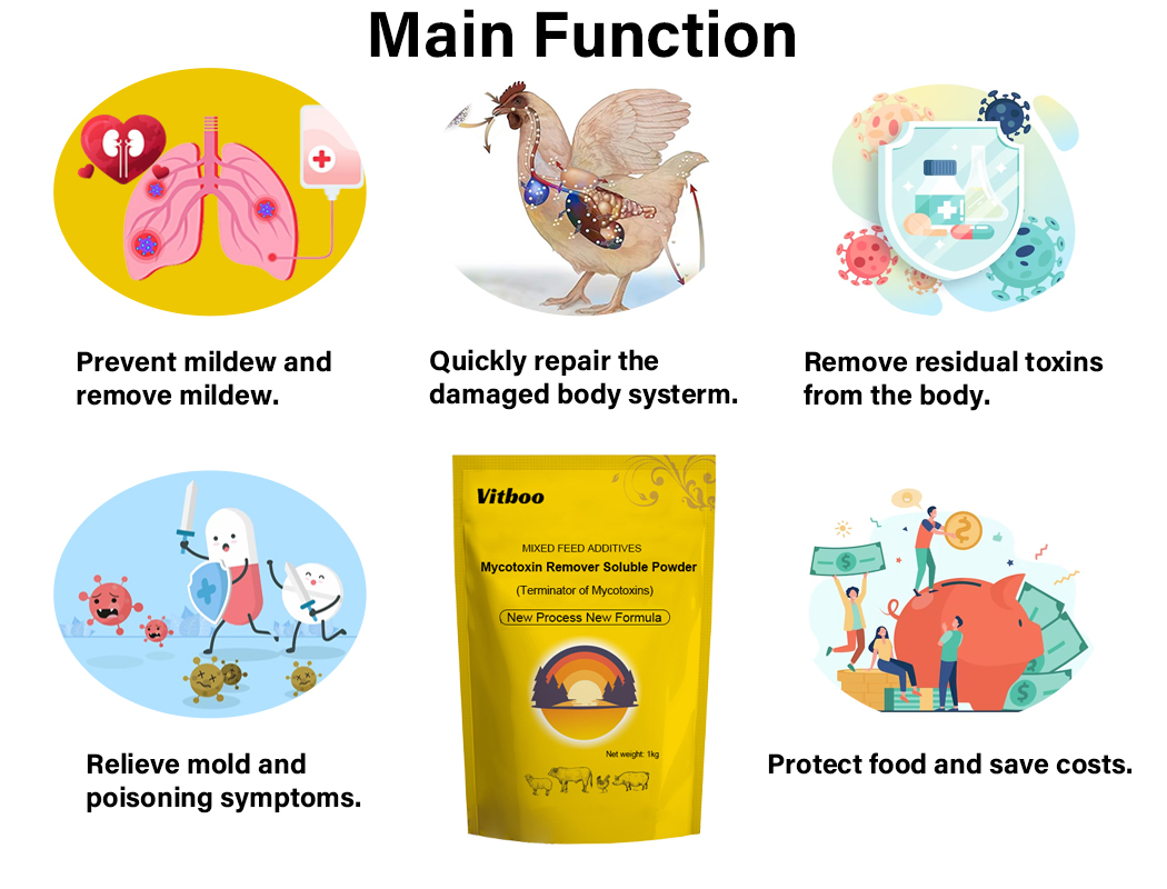 China Wholesale Poultry Mycotoxin Binder Feed AdditiveWater Soluble Powder Promote Metabolism of Liver Mildew Removal Agent