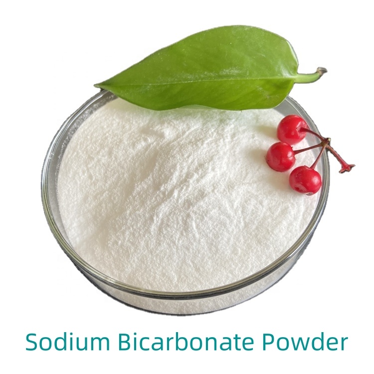 Bulk Industry Grade Sodium Bicarbonate Food Grade Powder Baking Soda Cas 144-55-8 Price Per Ton