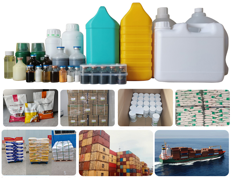 Packing Process Banner