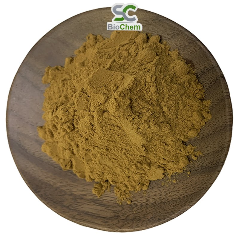 Plant Extract Natural Pure Sage Leaf Extract Sage Extract Powder Carnosic Acid Powder