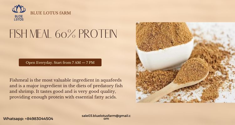 Fish Meal Powder Product