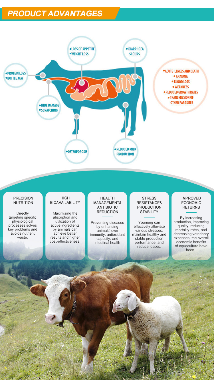 Key Product Highlights