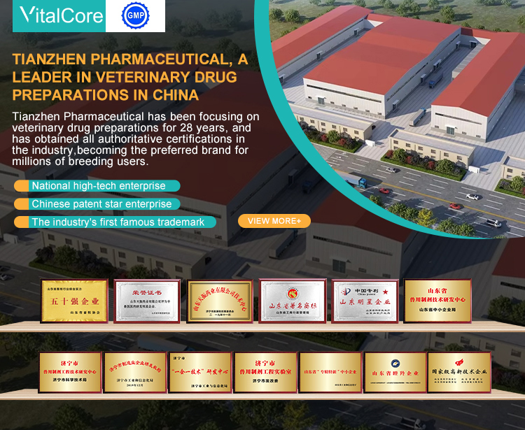 Veterinary Medicine Banner