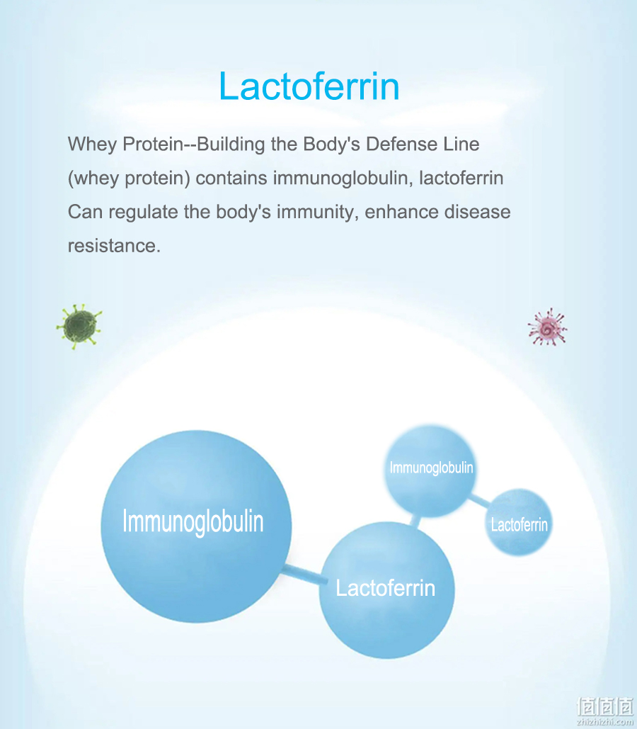 Whey Protein Detail 2