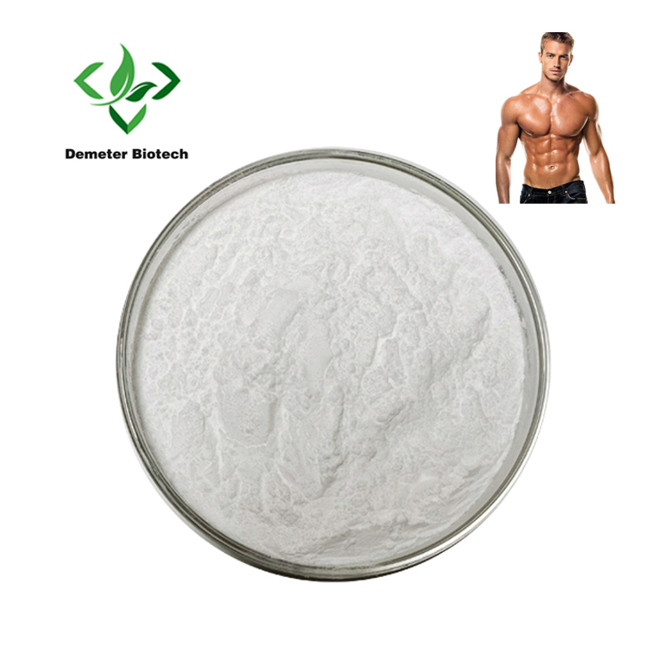 Food Additive Nutrition Enhancer L Arginine Powder Cas 74-79-3 L-Arginine Powder Amino Acid Raw Ingredient