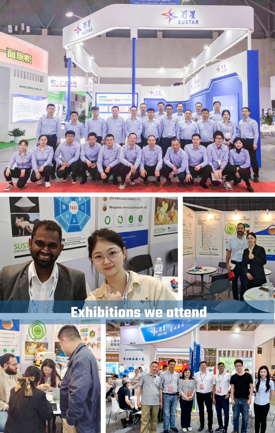 Exhibition View