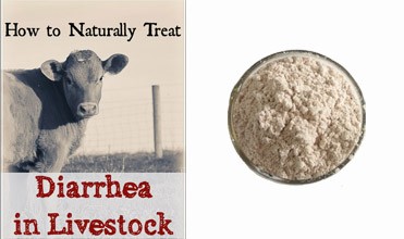 Animal Diarrhea Prevention