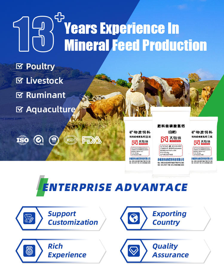 Feed Grade - Monocalcium Phosphate - MCP Addictive Powder For Aquatic Animals And Young Livestock